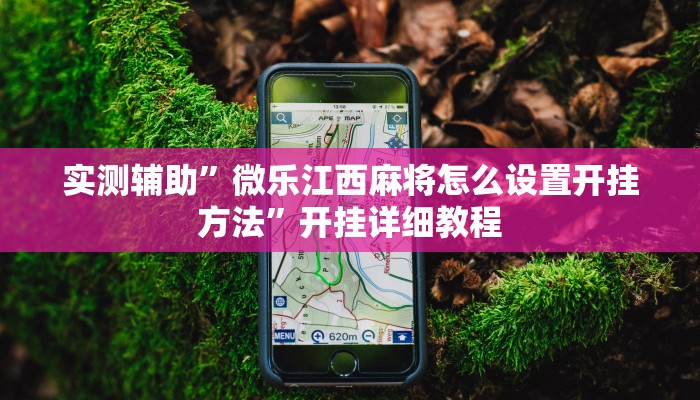 实测辅助”微乐江西麻将怎么设置开挂方法”开挂详细教程