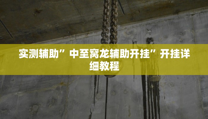 实测辅助”中至窝龙辅助开挂”开挂详细教程
