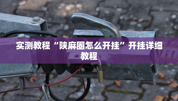 实测教程“陕麻圈怎么开挂”开挂详细教程