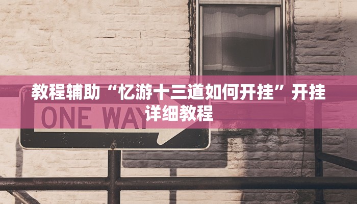 教程辅助“忆游十三道如何开挂”开挂详细教程