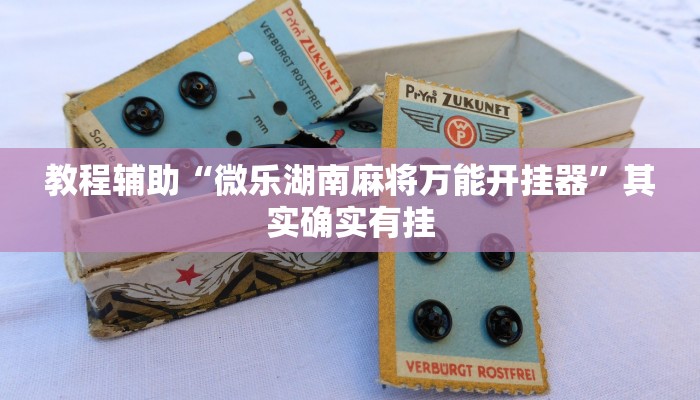 教程辅助“微乐湖南麻将万能开挂器”其实确实有挂