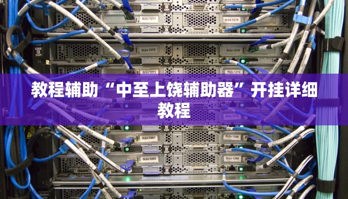 教程辅助“中至上饶辅助器”开挂详细教程