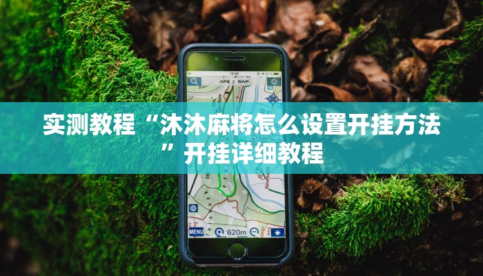 实测辅助”中至吉安辅助挂下载”其实确实有挂