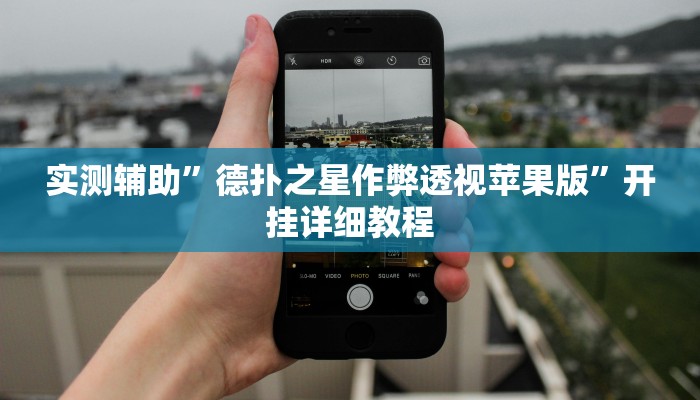 实测辅助”德扑之星作弊透视苹果版”开挂详细教程