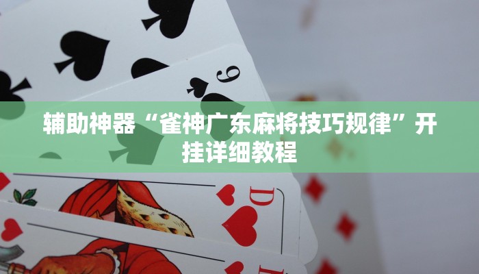 辅助神器“雀神广东麻将技巧规律”开挂详细教程