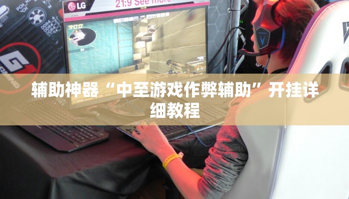 辅助神器“中至游戏作弊辅助”开挂详细教程