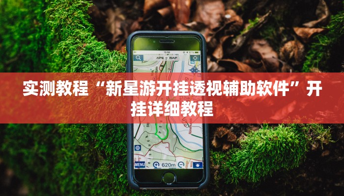实测教程“新星游开挂透视辅助软件”开挂详细教程