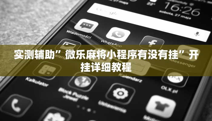 实测辅助”微乐麻将小程序有没有挂”开挂详细教程