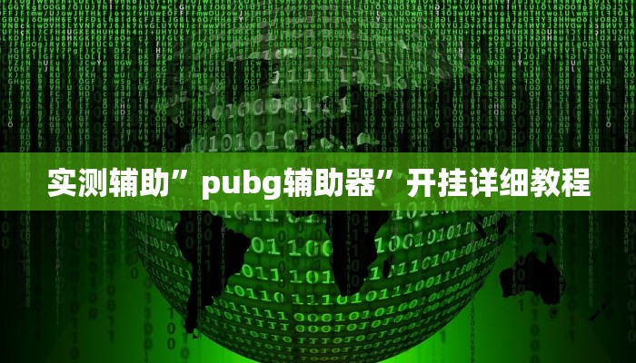 实测辅助”pubg辅助器”开挂详细教程