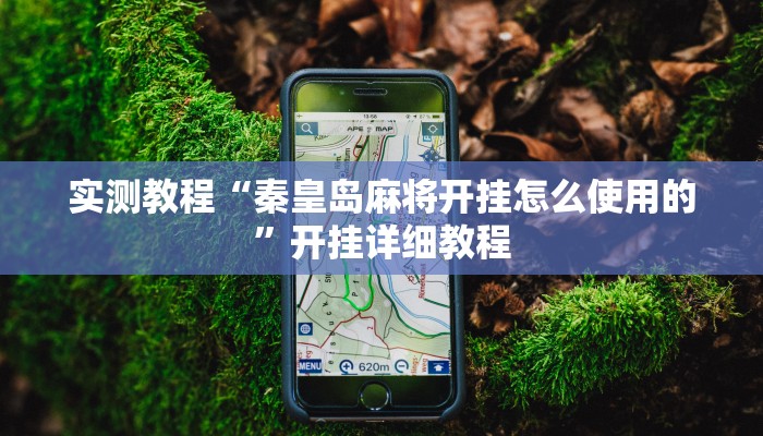 实测教程“秦皇岛麻将开挂怎么使用的”开挂详细教程