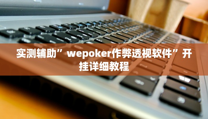 实测辅助”wepoker作弊透视软件”开挂详细教程