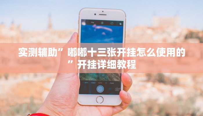 实测辅助”嘟嘟十三张开挂怎么使用的”开挂详细教程