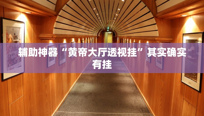 辅助神器“黄帝大厅透视挂”其实确实有挂