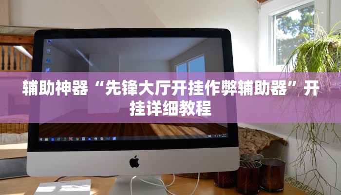 辅助神器“先锋大厅开挂作弊辅助器”开挂详细教程