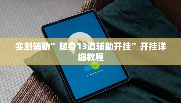 实测辅助”随身13道辅助开挂”开挂详细教程