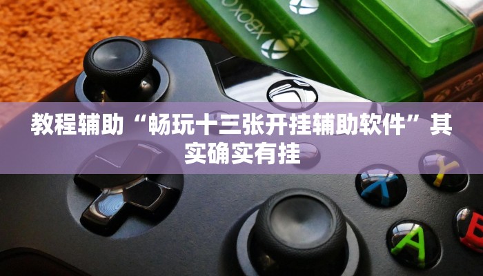 教程辅助“畅玩十三张开挂辅助软件”其实确实有挂