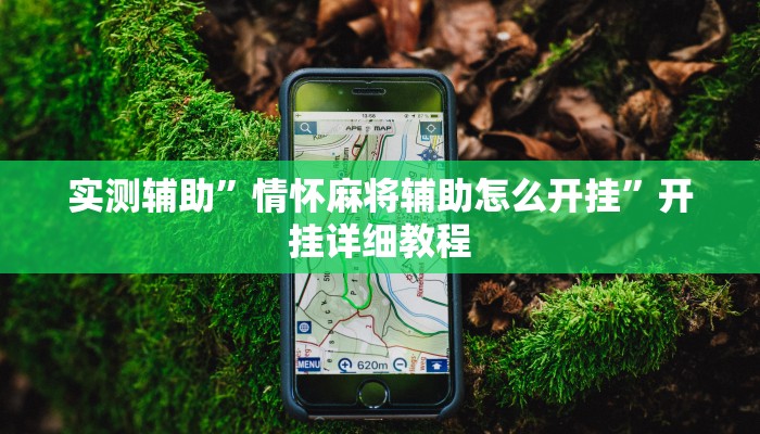 实测辅助”情怀麻将辅助怎么开挂”开挂详细教程