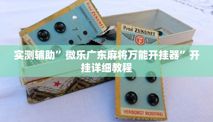 实测辅助”微乐广东麻将万能开挂器”开挂详细教程