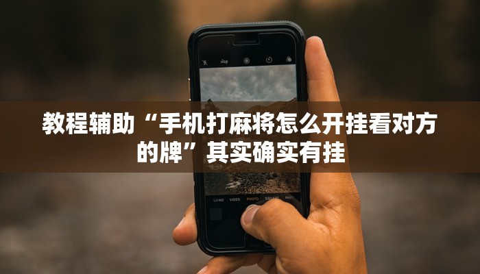 教程辅助“手机打麻将怎么开挂看对方的牌”其实确实有挂