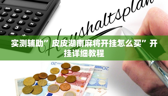 实测辅助”皮皮湖南麻将开挂怎么买”开挂详细教程