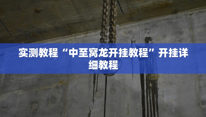 实测教程“中至窝龙开挂教程”开挂详细教程