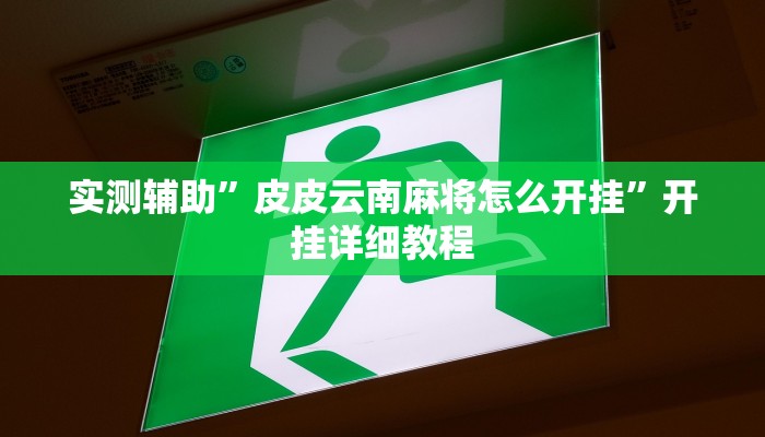 实测辅助”皮皮云南麻将怎么开挂”开挂详细教程