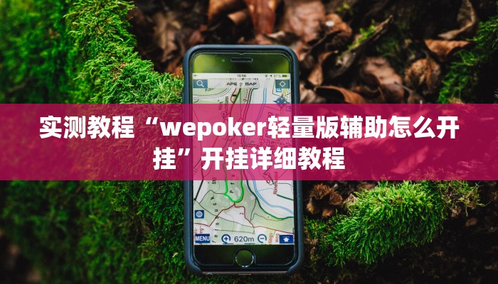 实测教程“wepoker轻量版辅助怎么开挂”开挂详细教程