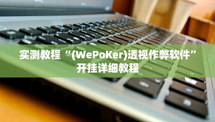 实测教程“(WePoKer)透视作弊软件”开挂详细教程