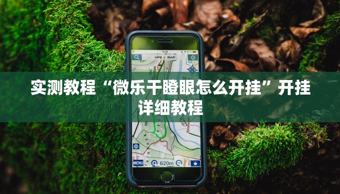 实测教程“微乐干瞪眼怎么开挂”开挂详细教程