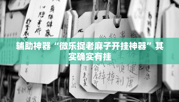 辅助神器“微乐捉老麻子开挂神器”其实确实有挂