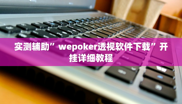实测辅助”wepoker透视软件下载”开挂详细教程