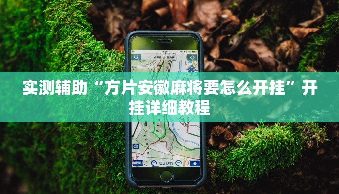 实测辅助“方片安徽麻将要怎么开挂”开挂详细教程