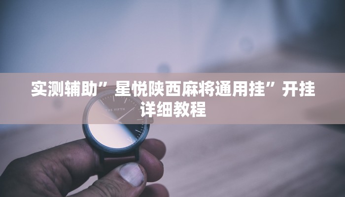 实测辅助”星悦陕西麻将通用挂”开挂详细教程