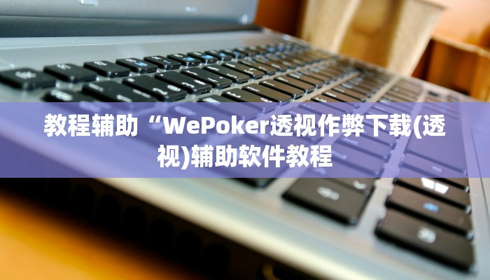 教程辅助“WePoker透视作弊下载(透视)辅助软件教程