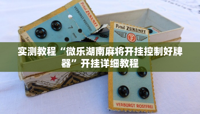 实测教程“微乐湖南麻将开挂控制好牌器”开挂详细教程