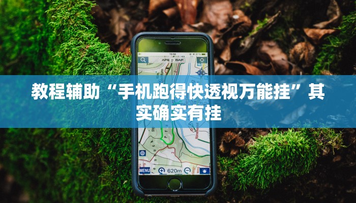 教程辅助“手机跑得快透视万能挂”其实确实有挂