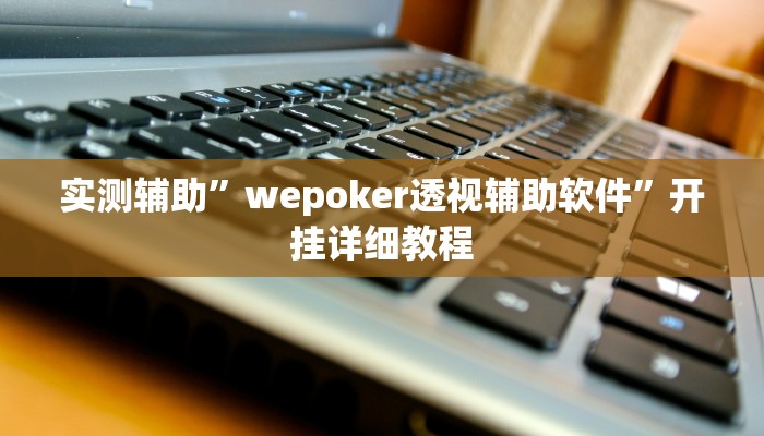 实测辅助”wepoker透视辅助软件”开挂详细教程