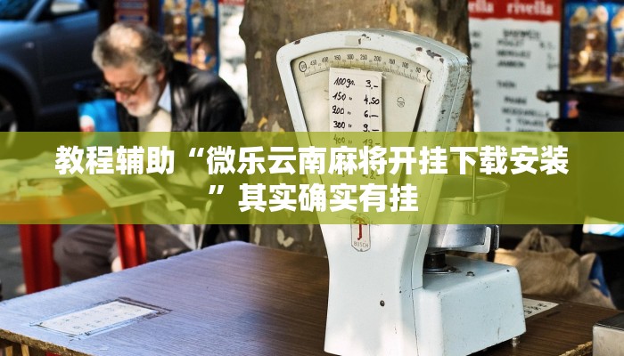 教程辅助“微乐云南麻将开挂下载安装”其实确实有挂