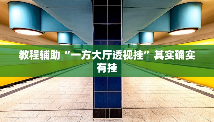 教程辅助“一方大厅透视挂”其实确实有挂
