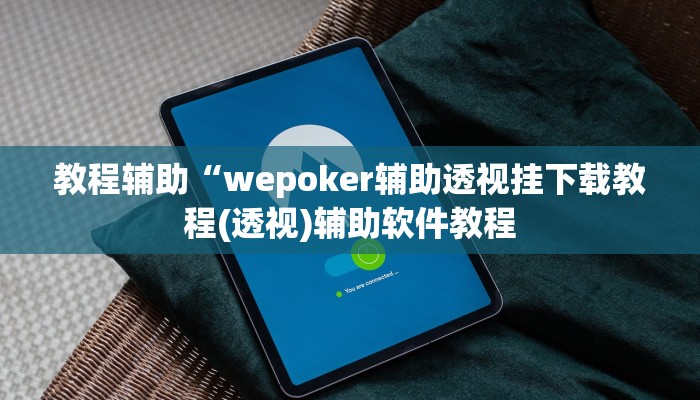 教程辅助“wepoker辅助透视挂下载教程(透视)辅助软件教程