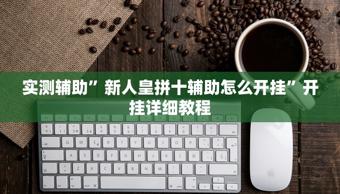 实测辅助”新人皇拼十辅助怎么开挂”开挂详细教程