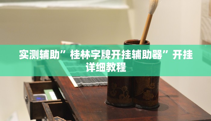 实测辅助”桂林字牌开挂辅助器”开挂详细教程