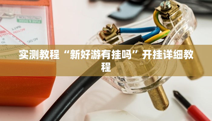 实测教程“新好游有挂吗”开挂详细教程