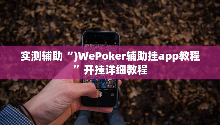 实测辅助“)WePoker辅助挂app教程”开挂详细教程