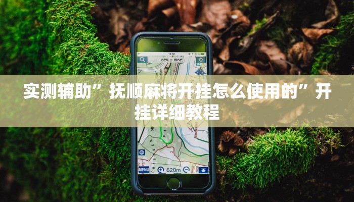 实测辅助”抚顺麻将开挂怎么使用的”开挂详细教程
