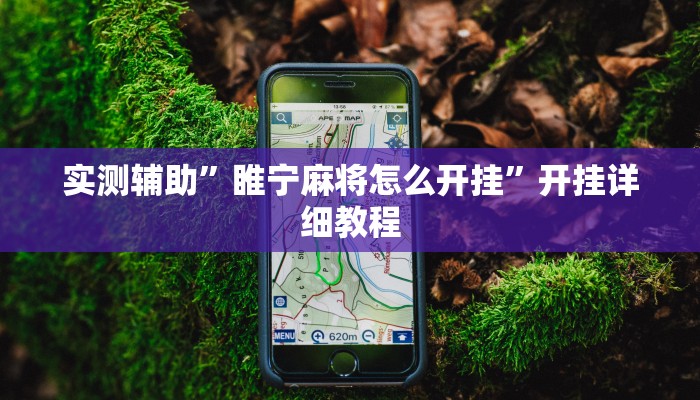 实测辅助”睢宁麻将怎么开挂”开挂详细教程