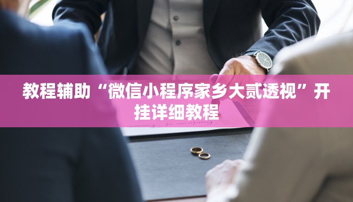 教程辅助“微信小程序家乡大贰透视”开挂详细教程