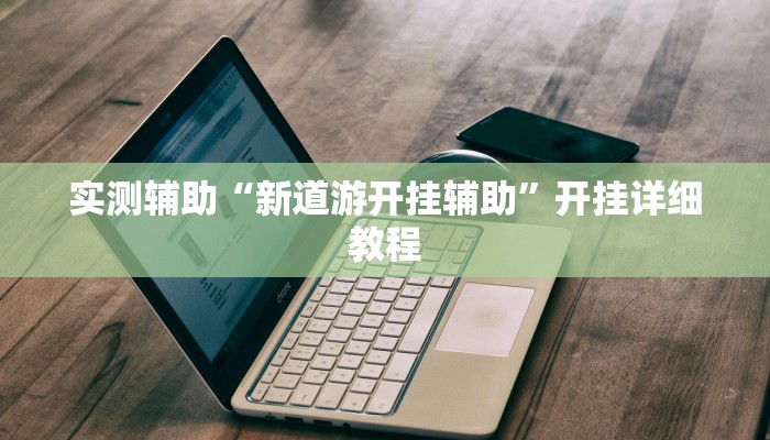 实测辅助“新道游开挂辅助”开挂详细教程