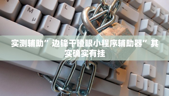 实测辅助”边锋干瞪眼小程序辅助器”其实确实有挂