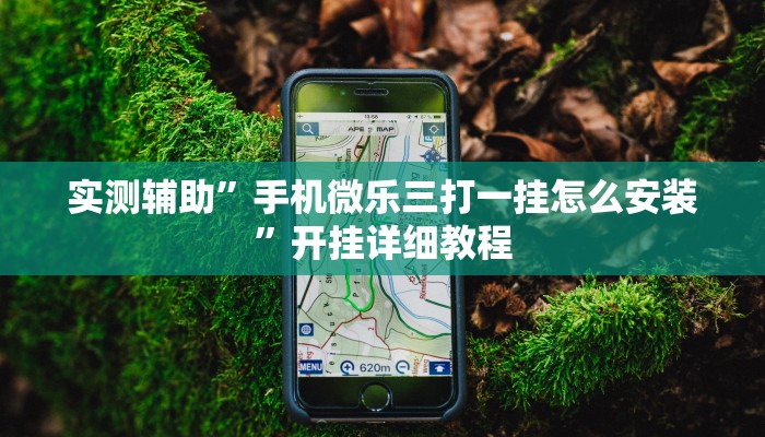 实测辅助”手机微乐三打一挂怎么安装”开挂详细教程